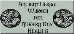 logo: ancient herbal wisdom for modern day healing